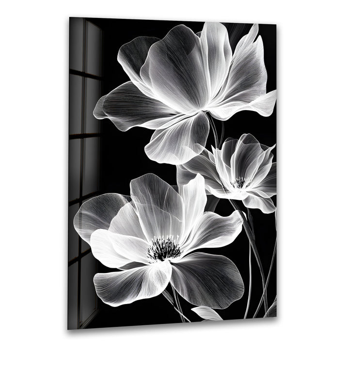A stunning black and white glass wall art featuring glowing, delicate flowers with intricate details.