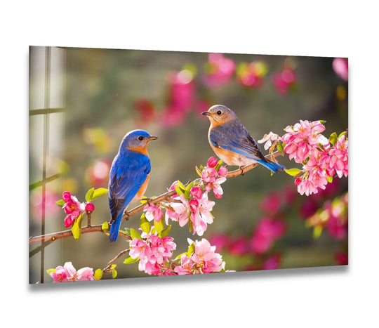 Two eastern bluebirds rest on a branch laden with pink blossoms, creating a serene scene with ample negative space.