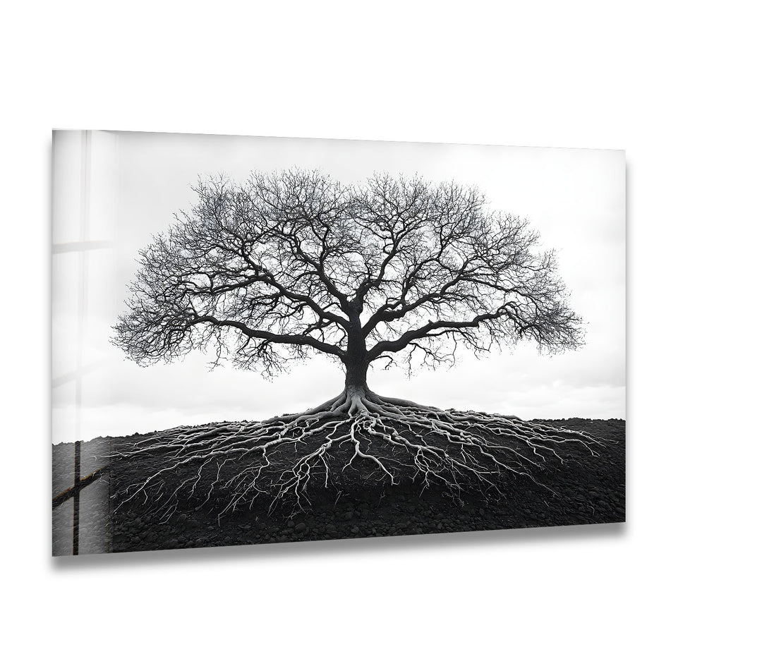 A striking black and white glass wall art featuring the symbolic Tree of Life with deep, intricate roots.
