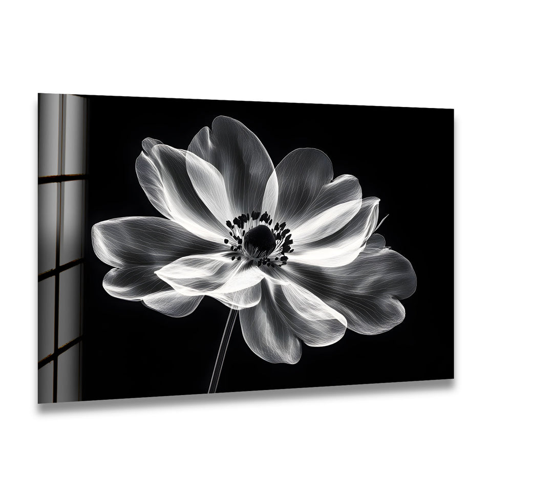 Elegant black-and-white floral design, printed on durable glass for modern home decor.
