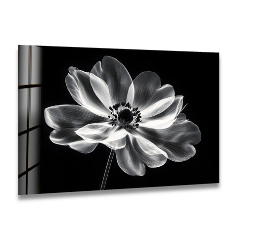 The darkest area highlights the ethereal flower in this black-and-white floral glass art painting, showcasing a stunning design on glass with a striking contrast.