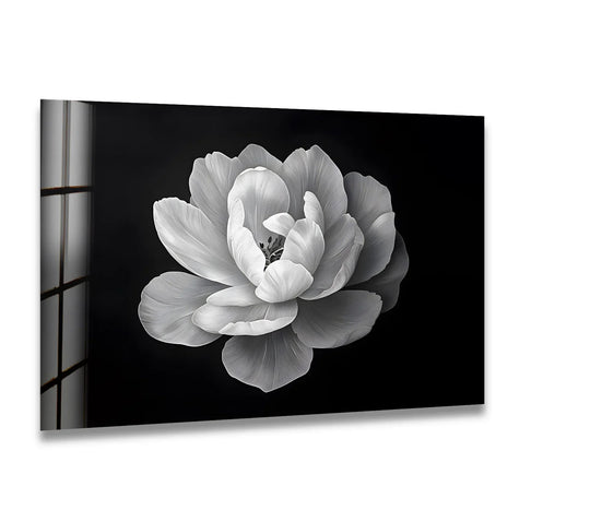 At the center, the monochrome flower showcases a symphony of petals, embodying unique modern wall decor with its striking elegance in glass wall art.
