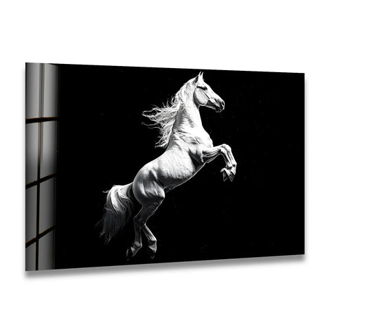 A striking white horse rears majestically on this premium print wall art, showcasing exceptional material quality.