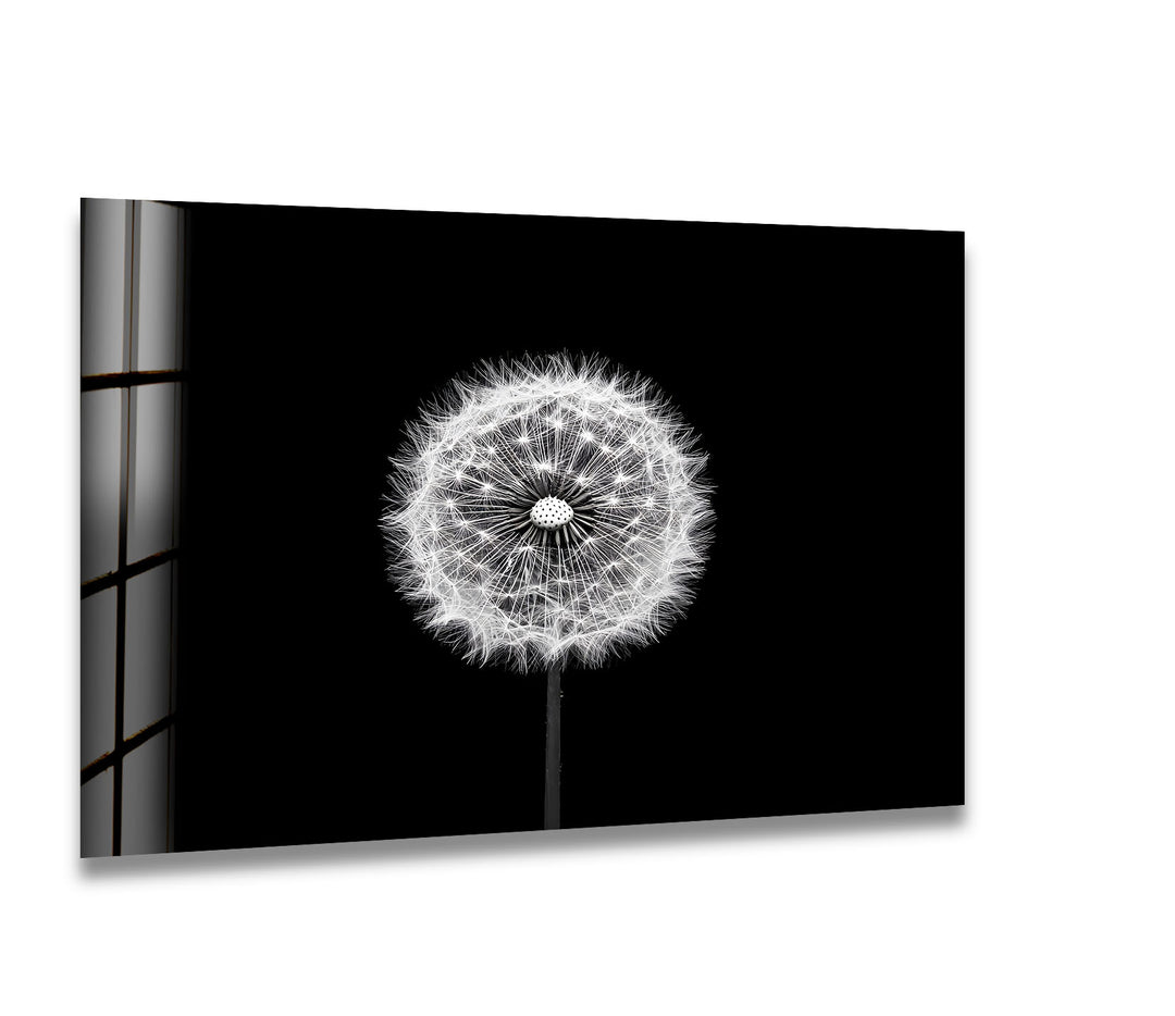 A stunning black and white glass wall art featuring a delicate dandelion against a dark background.