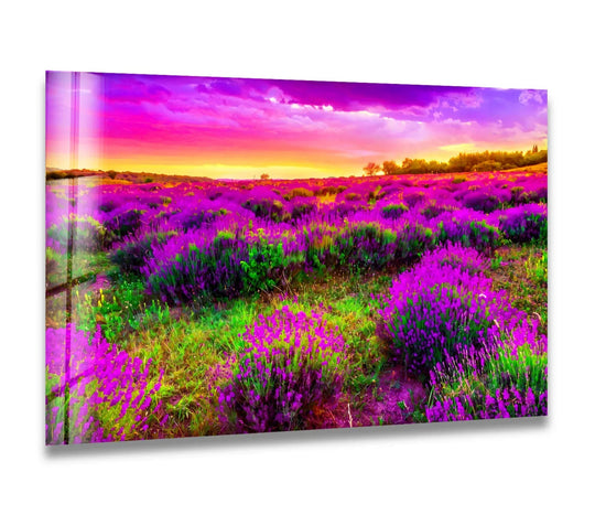 Layers of vibrant lavender and green vegetation emphasize the depth in this tempered glass wall art, showcasing a stunning sunset over a floral landscape.