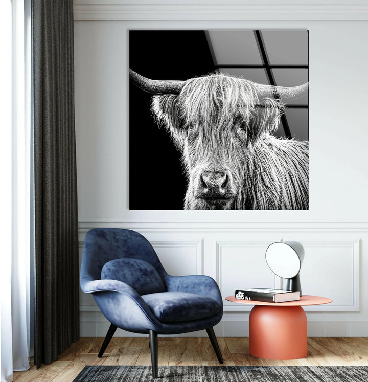 Black and white cattle portrait printed on glass with striking detail and bold contrast.