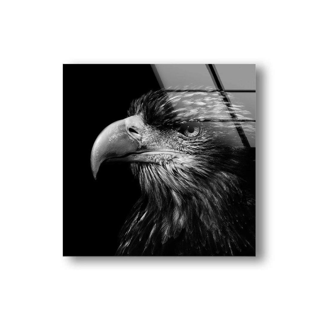 Intense eagle gaze in black and white creating a striking glass wall centerpiece.