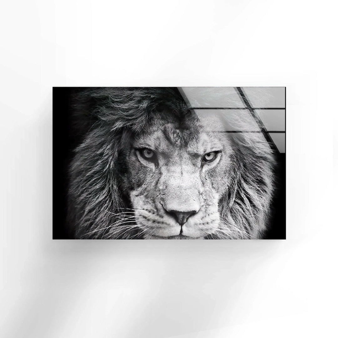 Fierce lion close-up with dramatic lighting captured on sleek glass wall art.