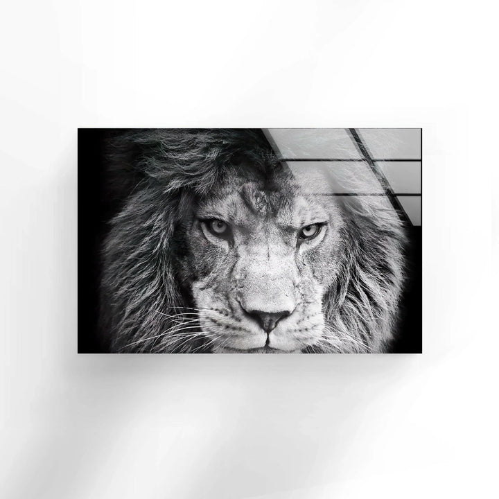 Fierce lion close-up with dramatic lighting captured on sleek glass wall art.
