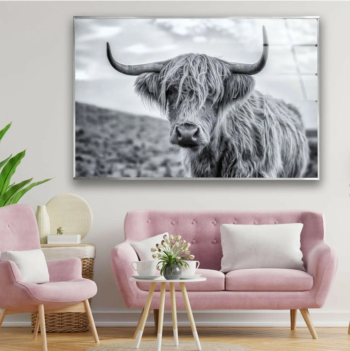 Charming Highland cow portrait on glass, emphasizing texture and natural beauty.