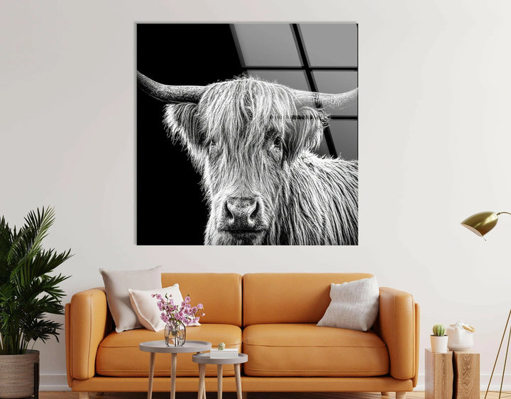 Black and white animal portrait printed on glass showing a furry highland cow with long horns.