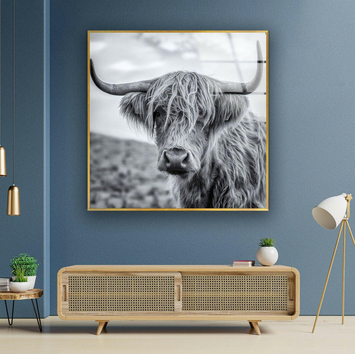 Modern black and white animal portrait showcasing a Highland cow’s iconic shaggy coat.