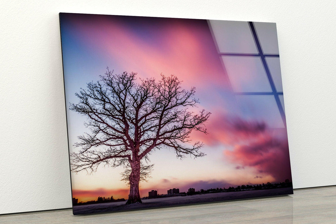 Minimalist nature-inspired glass wall art with a striking sunset and lone tree.
