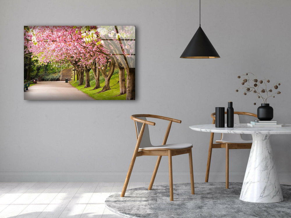 Serene Walkway Lined with Cherry Blossoms – High-Definition Glass Print
