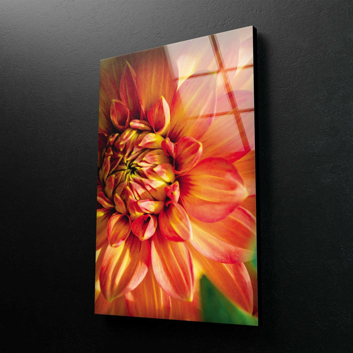 Closeup Vivid Red Flower Glass Wall Art, Glass Printing Wall Art, Print photos on glass