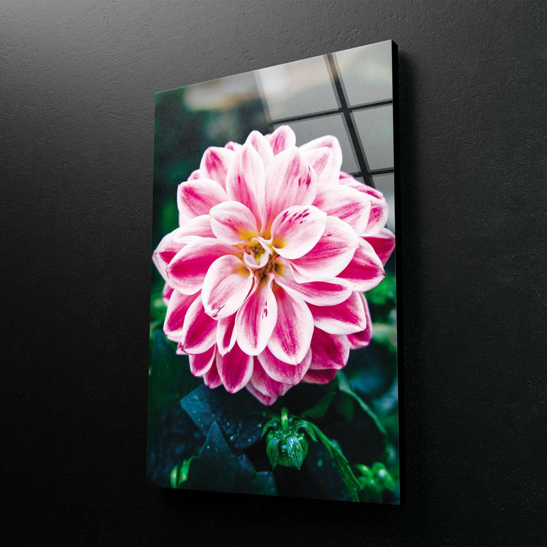 Vivid Pink Flower Glass Wall Art, photo print on glass, prints on glass wall art
