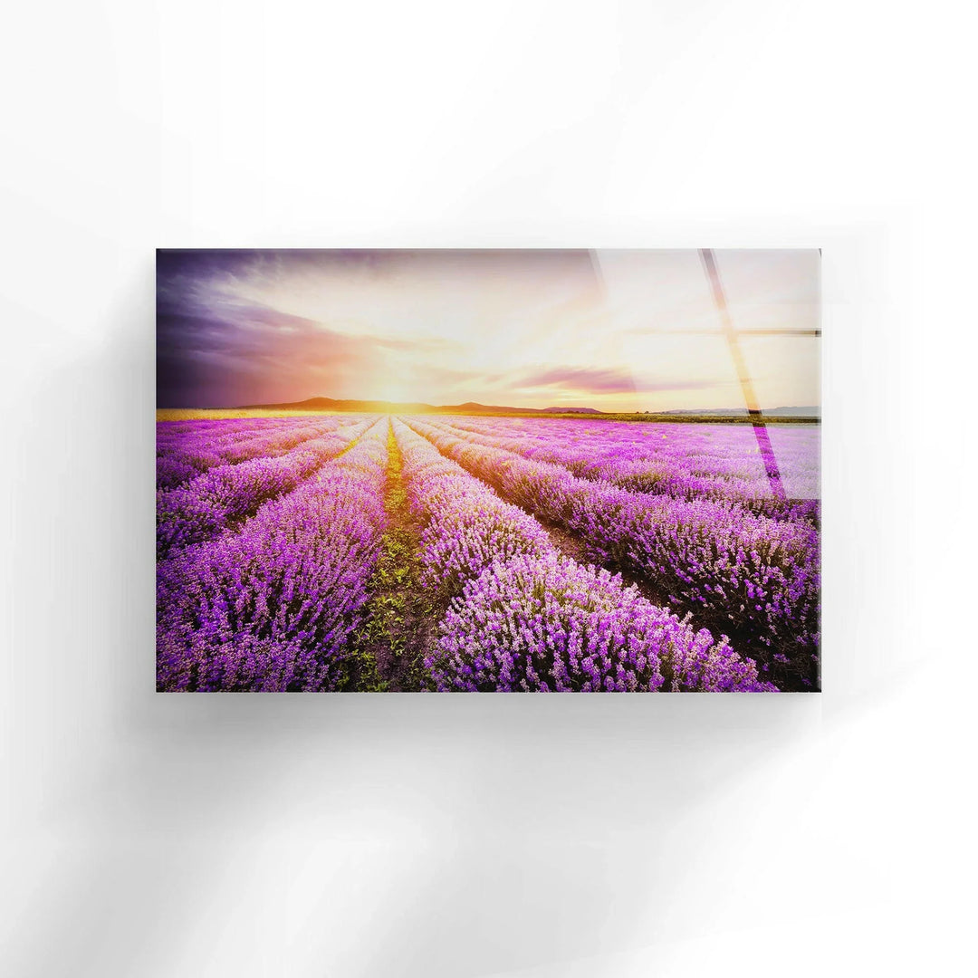 lavender plant wall art Lavender Field Sunrise Wall Art – Serene Living Room Decor – MyPhotoStation