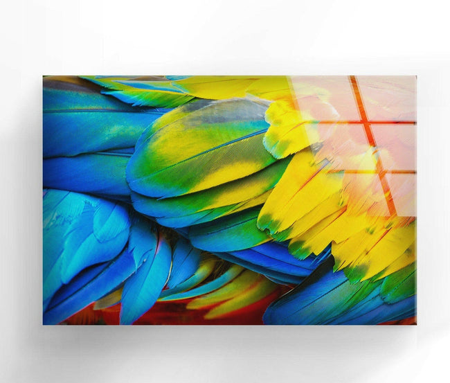 Abstract Colorful Feather Tempered Glass Wall Art