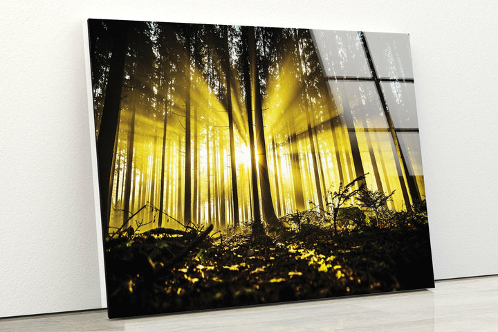 Landscape art prints offering a timeless collection of nature-inspired artwork for your walls

