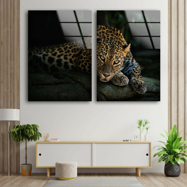 Wild Leopard Glass Wall Art, photo print on glass, prints on glass wall art