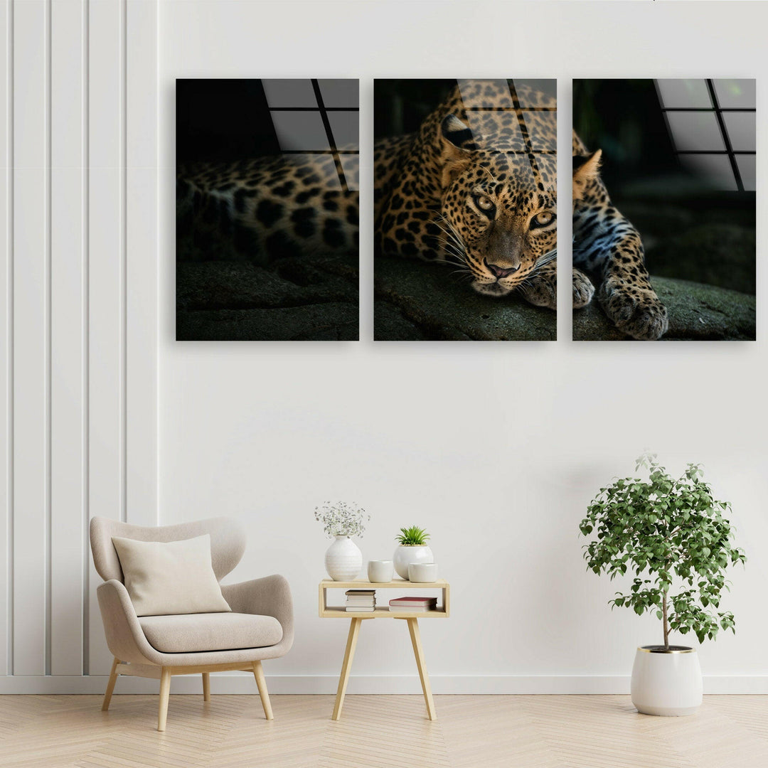 Wild Leopard Glass Wall Art, large glass photo prints, glass wall photos