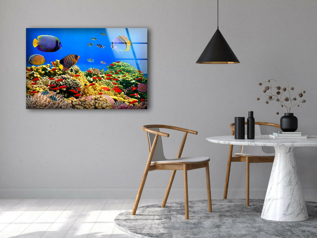 Fish at Aquarium Tempered Glass Wall Art - MyPhotoStation