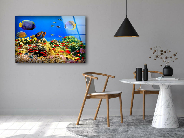 Fish at Aquarium Tempered Glass Wall Art - MyPhotoStation