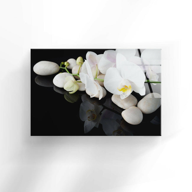 White Orchid Flower Tempered Glass Wall Art