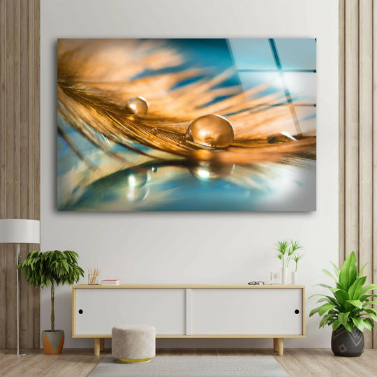 Detailed golden drops rest on a finely textured feather, showcased as luminous glass wall prints.
