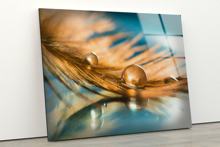 Golden Drop on the Feathers Tempered Glass Printing Wall Arts