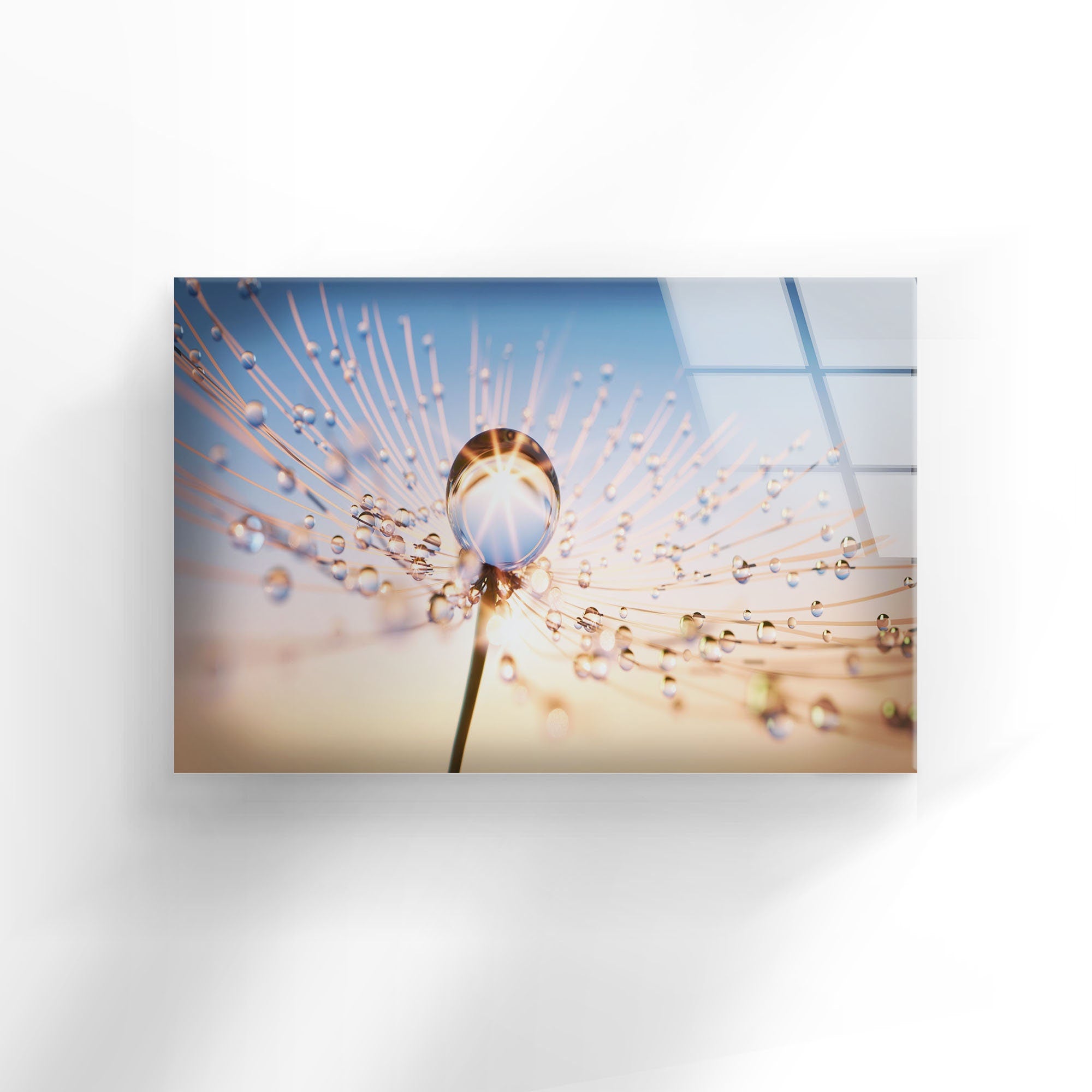 Dandelion Flower Tempered Glass Wall Art