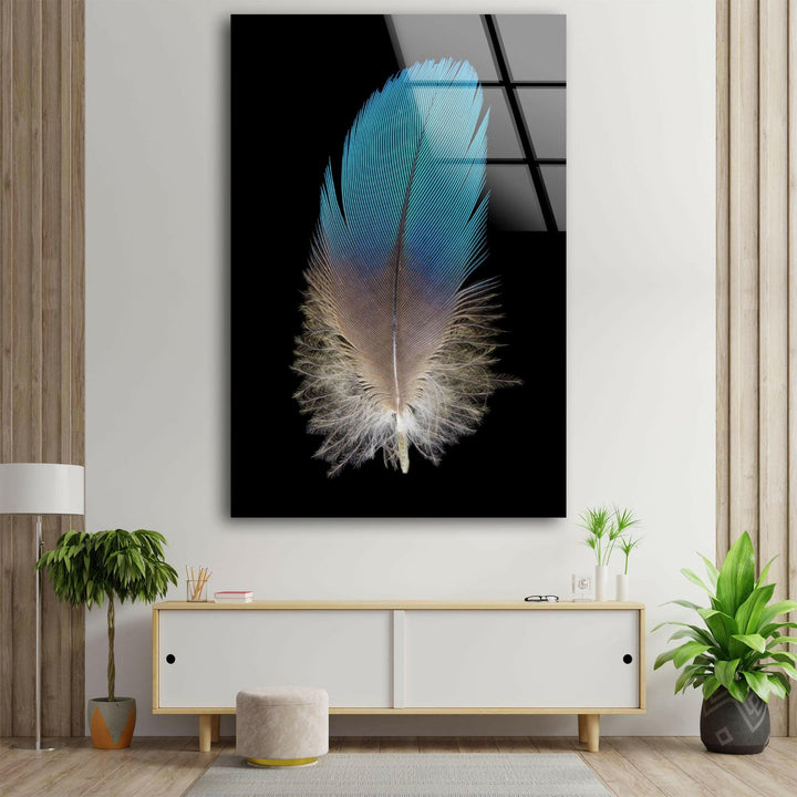 Cool Wall Art & Glass Printing
