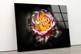 Botanical Rose Tempered Glass Wall Art