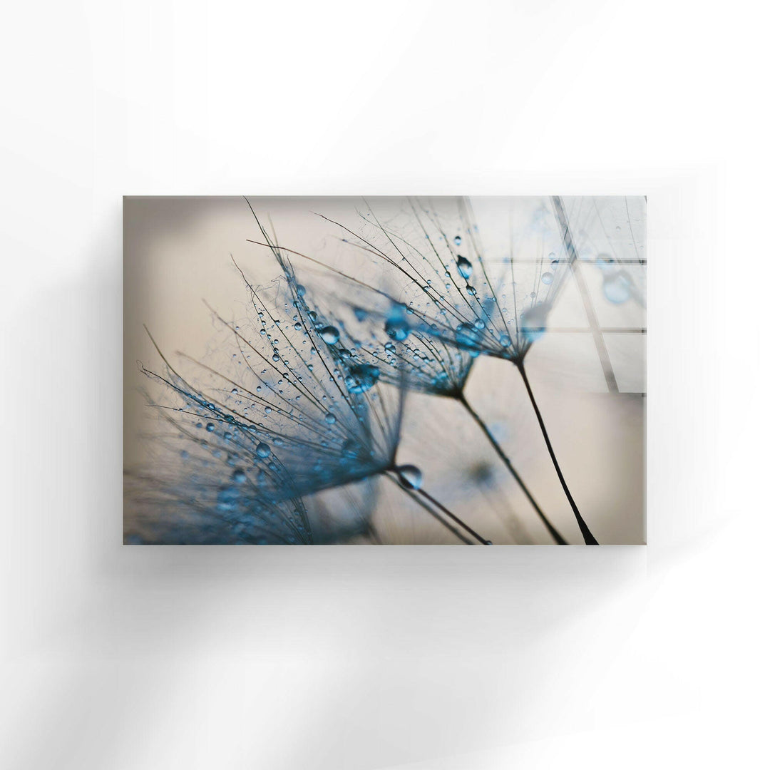 Blue Dandelion Flower Tempered Glass Wall Art - MyPhotoStation