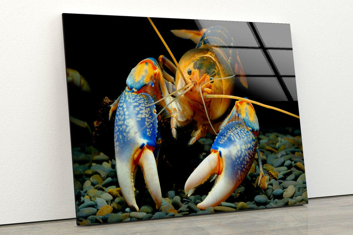 Decorative Lobster Glass Wall Art photo print on glass, prints on glass wall art