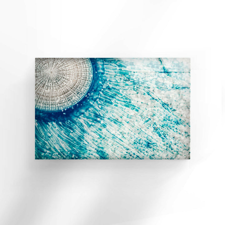Blue Button Jellyfish Glass Wall Art