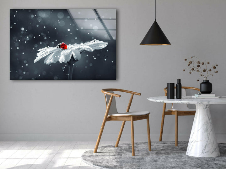 Ladybug in Drops Glass Wall Art glass art painting, glass art for the Wall