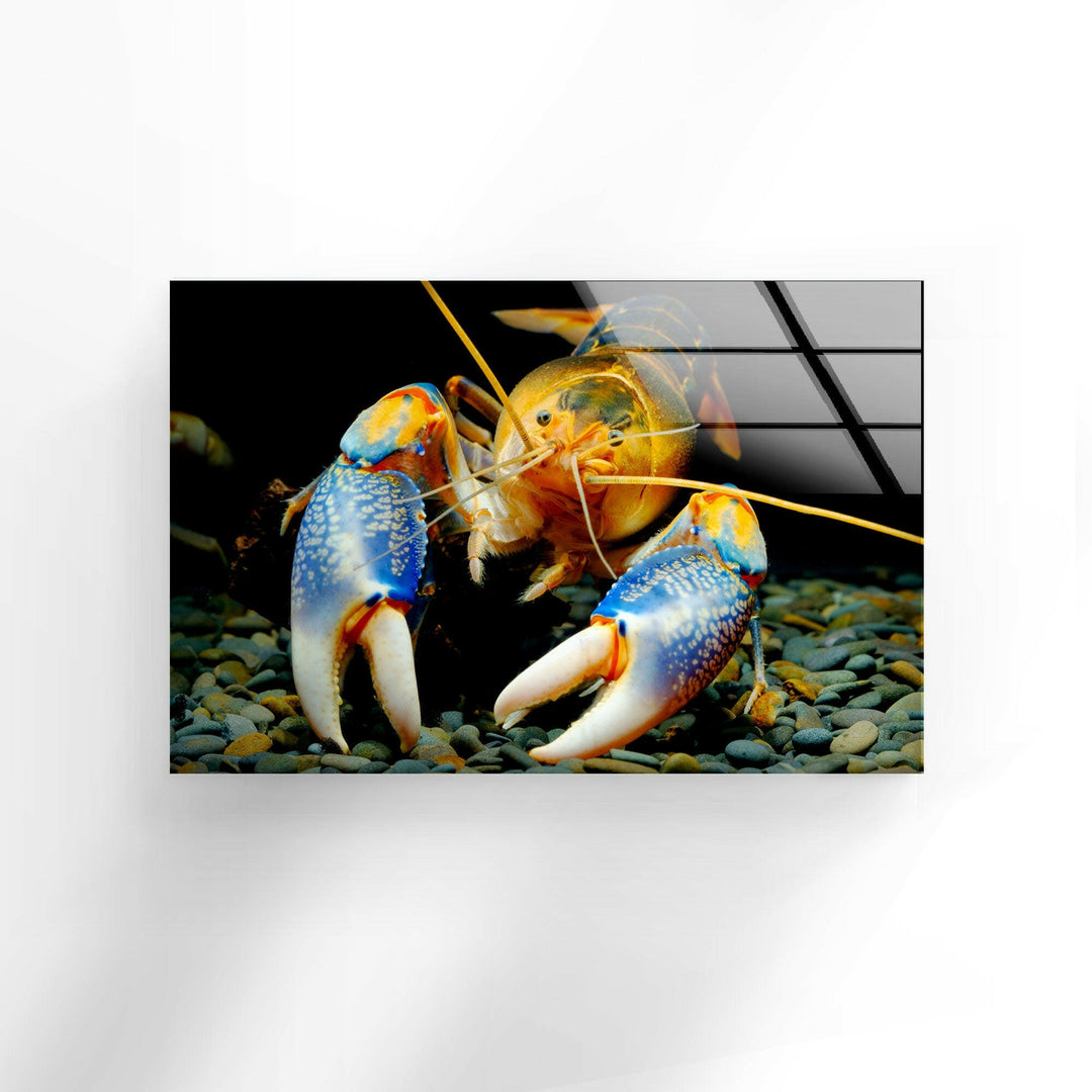 Decorative Lobster Glass Wall Art print picture on glass, Tempered Glass Wall Art