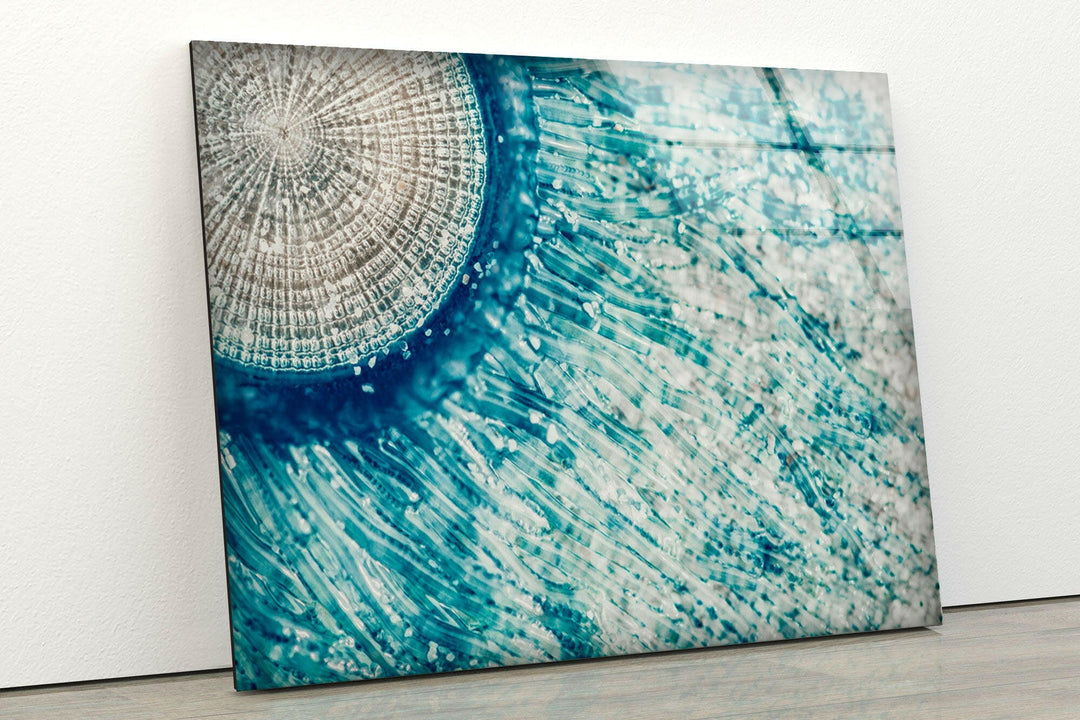 Blue Button Jellyfish Tempered Glass Wall Art Prints for Home