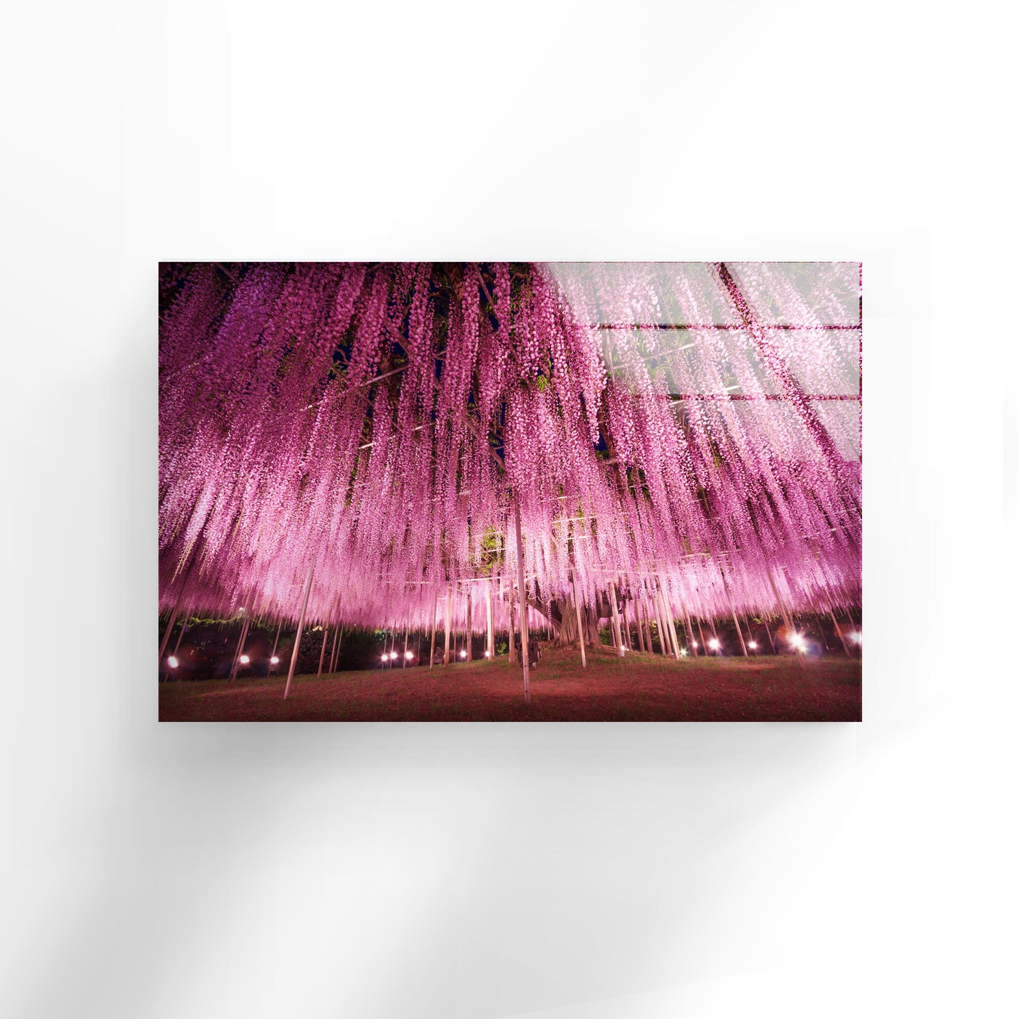 Pink Flowers Tempered Glass Wall Art