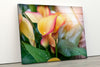Vivid Floral Tempered Glass Wall Art