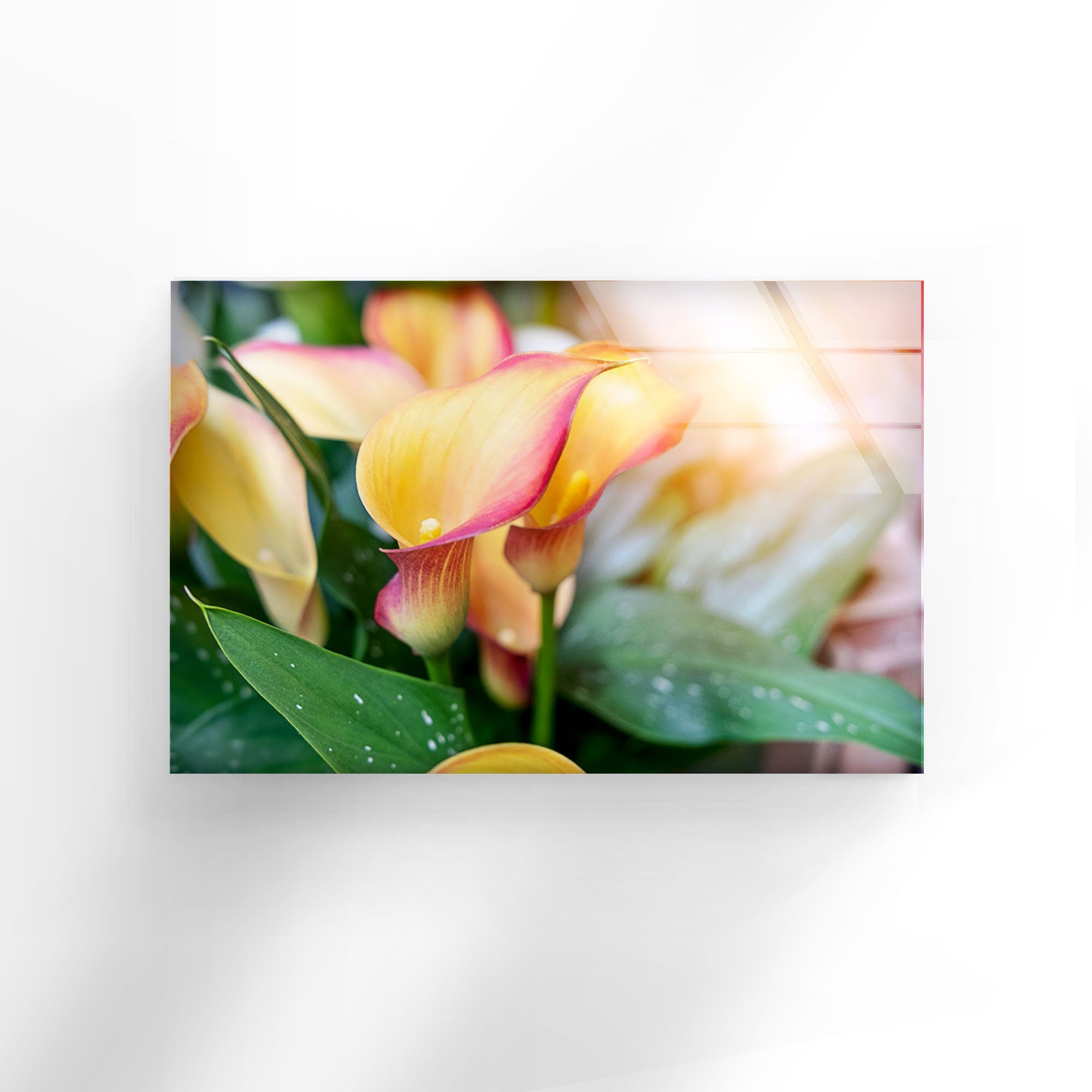 Vivid Floral Tempered Glass Wall Art