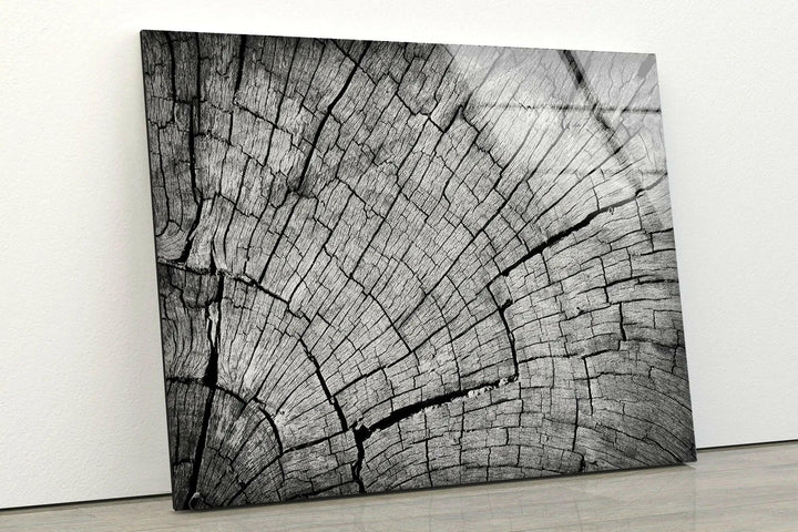 Body Tree Wood Pattern Glass Wall Art, glass art painting, glass art for the Wall