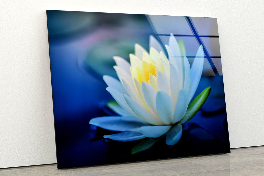 White Water Lotus Glass Wall Art, glass image printing, glass prints from photos