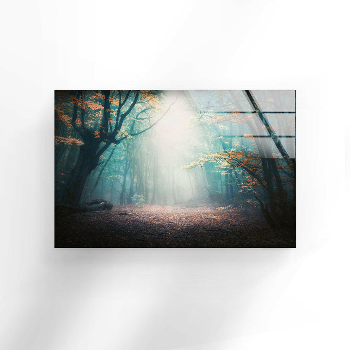 Ethereal Light in the Deep Woods – A Stunning Glass Print
