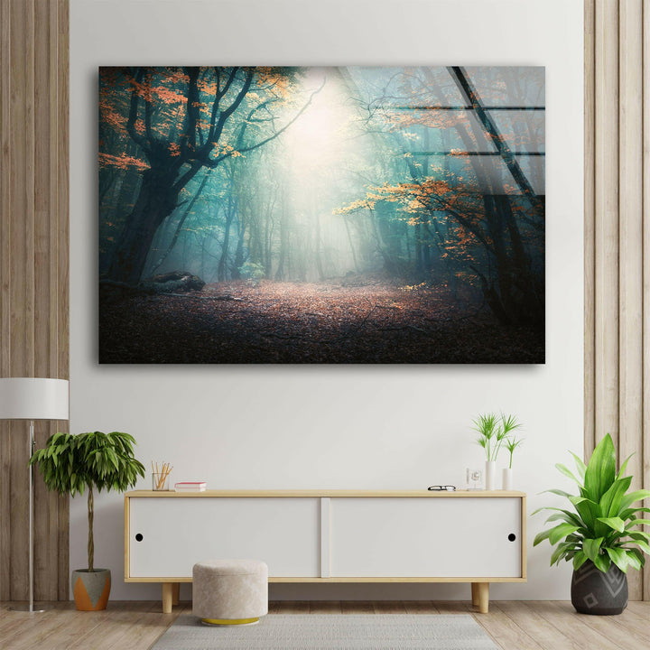 Sunlight Through the Misty Woods – A Captivating Glass Wall Art
