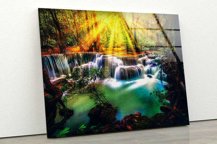 Nature art prints filled with vibrant colors and intricate details celebrating the beauty of the wild

