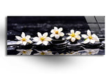 Panoramic Orchid Tempered Glass Wall Art