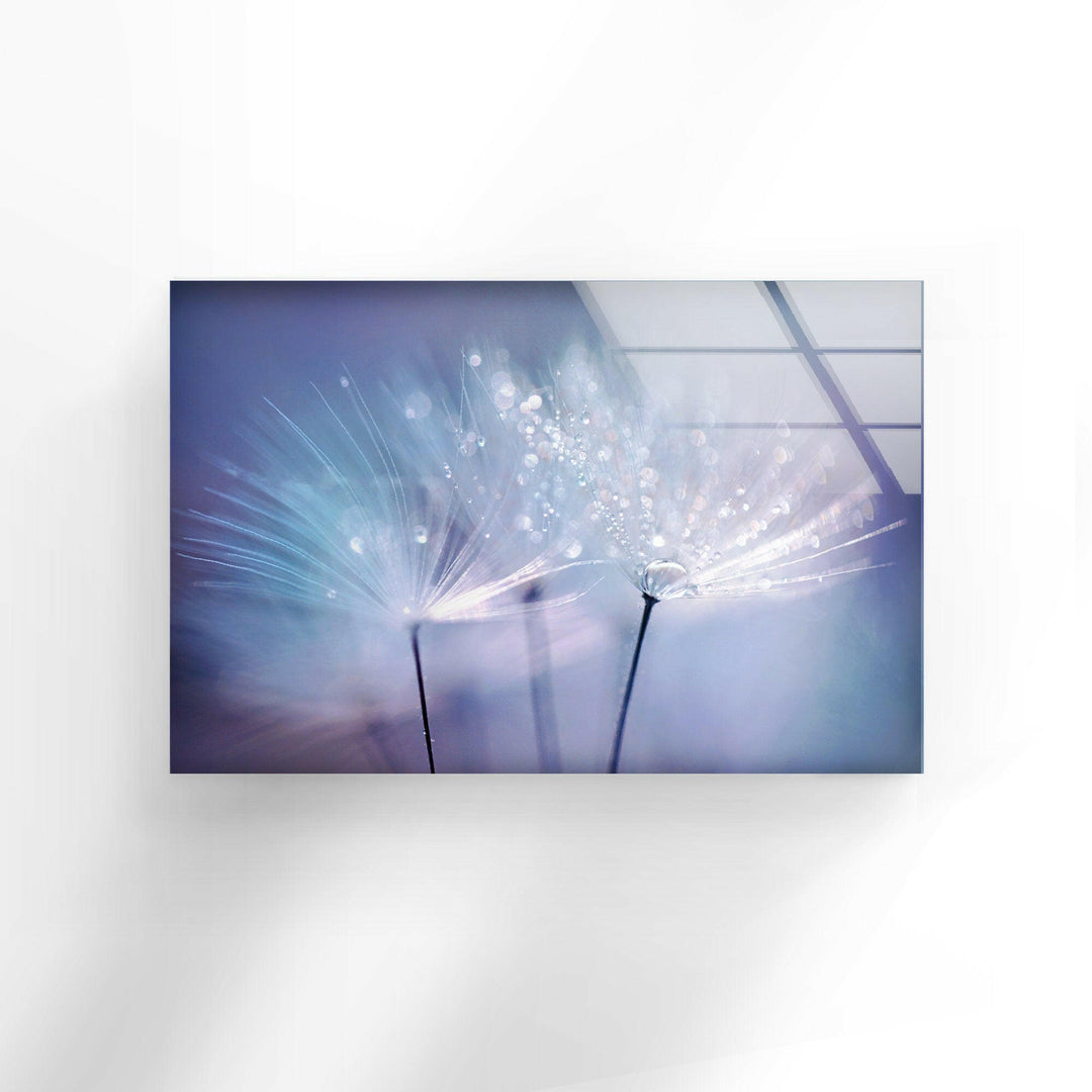 Dandelion Seed With Drops Glass Wall Art, glass photo prints, glass picture prints