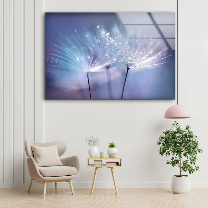 Dandelion Seed With Drops Glass Wall Art, large glass photo prints, glass wall photos
